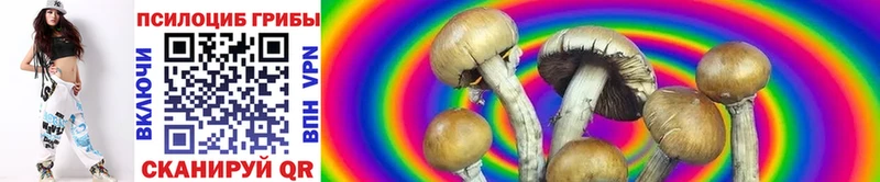Галлюциногенные грибы мицелий  Асбест 